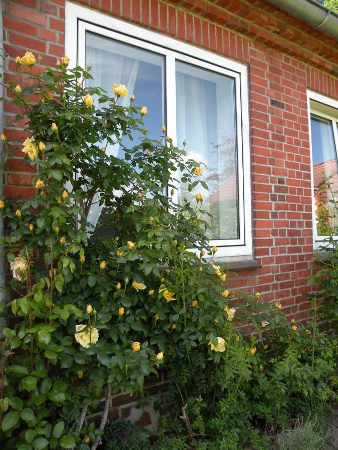 Altes Pastorenhus Osterbruch Exterior foto